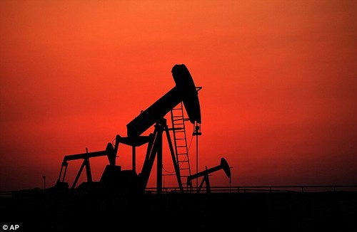 Crude oil falls to 12-year low   - ảnh 1